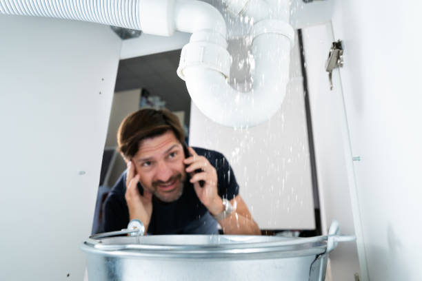 Best Residential Plumbing Services  in Cottage Grove, MN